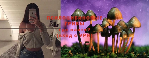 гидра Дмитровск
