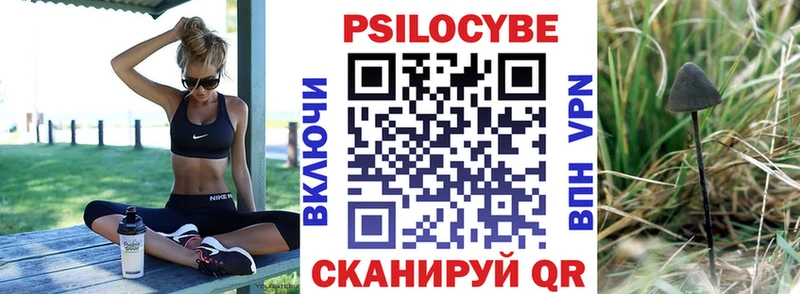 Псилоцибиновые грибы Cubensis  Жуковский 